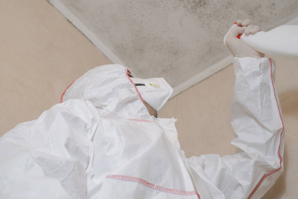 Best Commercial Mold Removal  in Refugio, TX